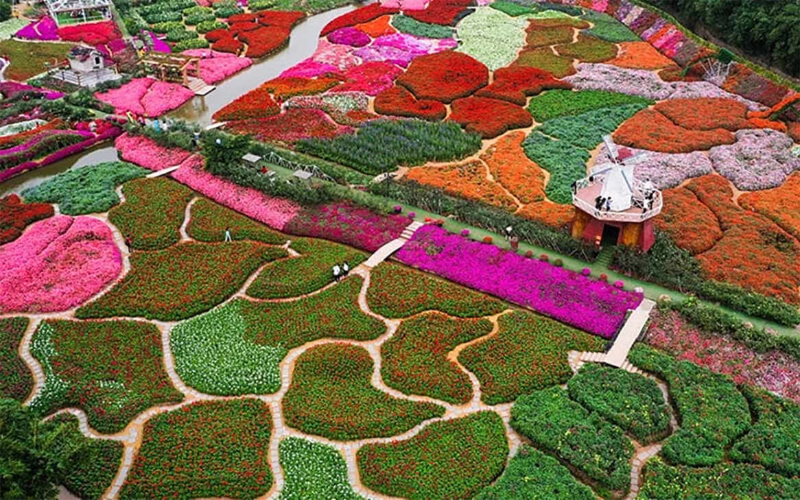 Thung lũng hoa Tây Hồ